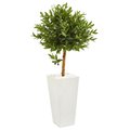 Nearly Naturals 4 in. Olive Topiary Artificial Tree in White Planter 9316